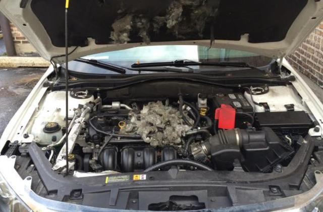 Kelistrikan Mobil Mati Tapi Mesin Hidup
