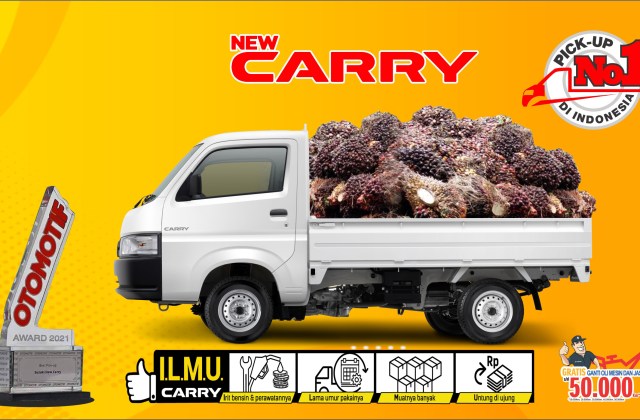 Oli Suzuki New Carry
