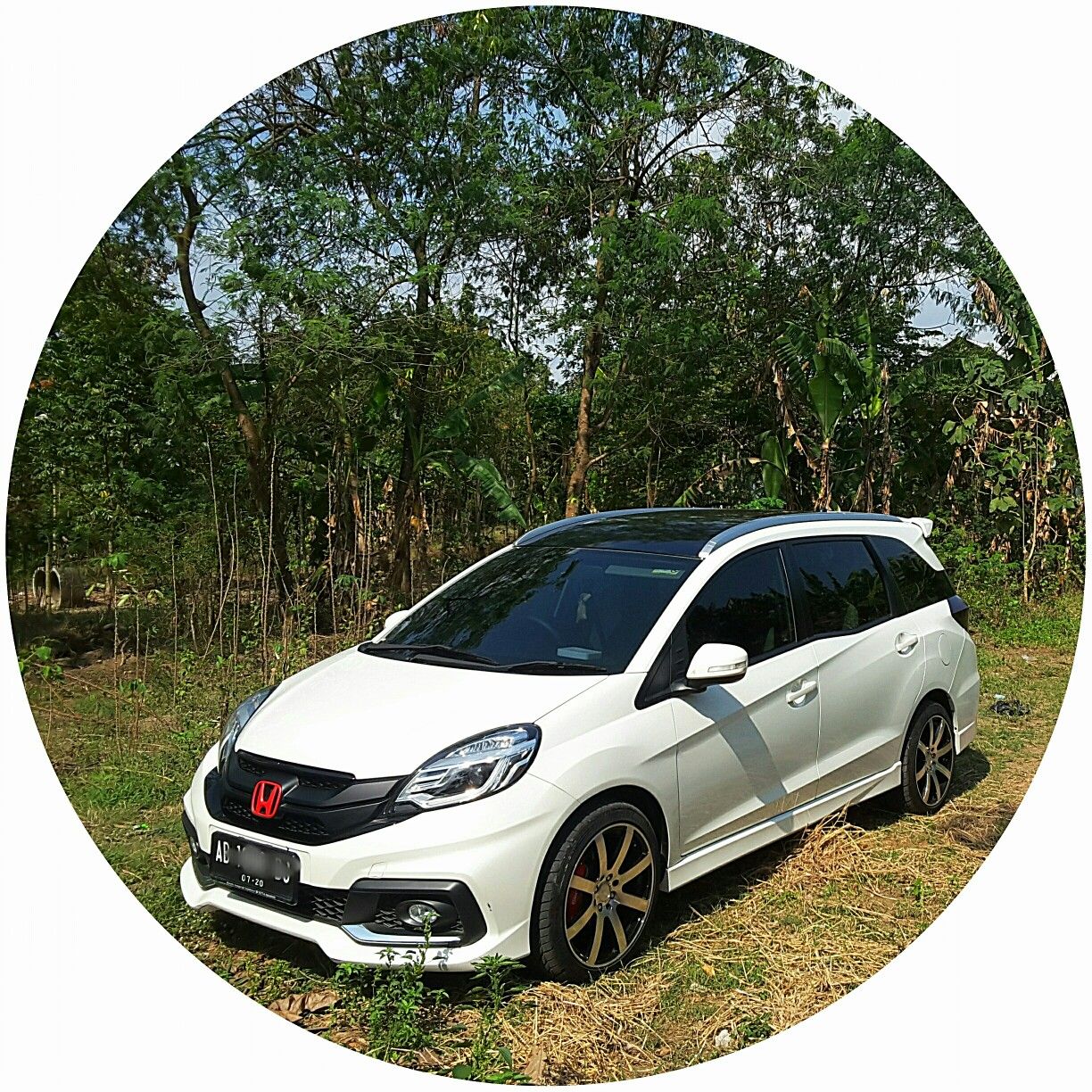 Foto Honda Mobilio Modif 