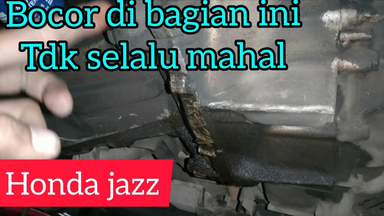 Oli Mobil Netes Di Garasi
