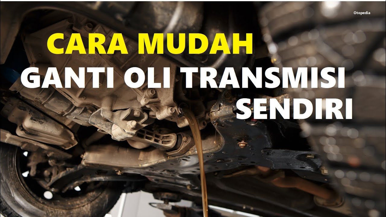 Cara Ganti Oli Transmisi Mobil Zebra
