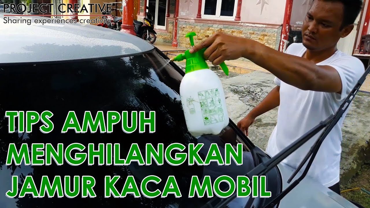 Cara Menghilangkan Jamur Kaca Mobil
