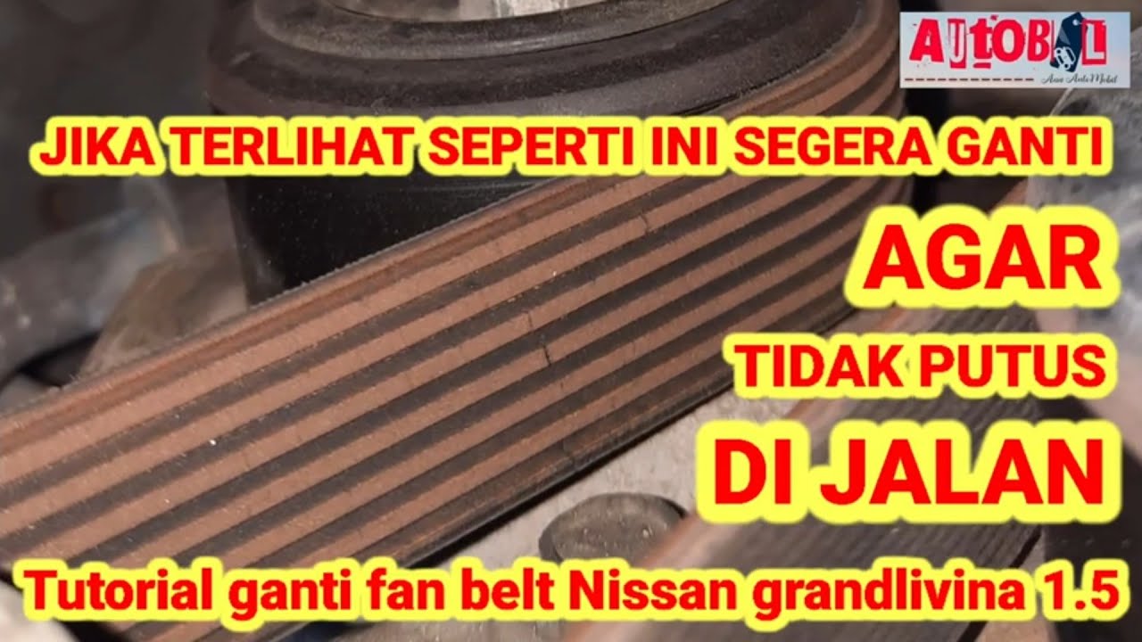 Ganti Fan Belt Grand Livina 