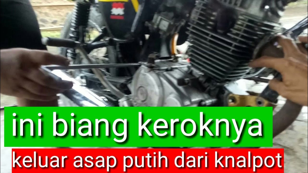 Karburator Mobil Keluar Asap Putih
