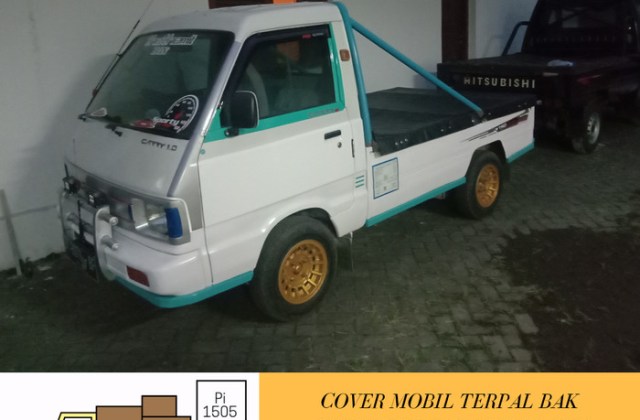 Modifikasi Carry 1000
