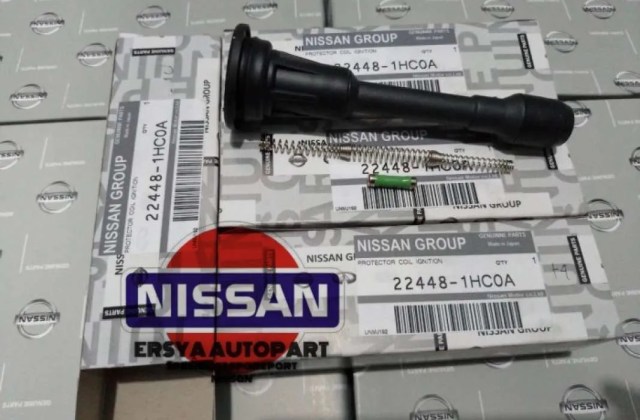 Ganti Selongsong Coil Grand Livina 